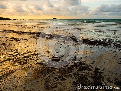 Tar balls and oil sludge on Lagoi beach in Bintan Island Indonesia during sunset Stock Photo